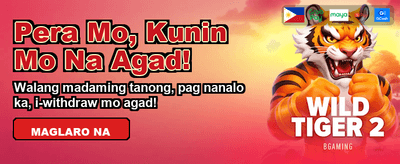 Fast Login, Endless Excitement